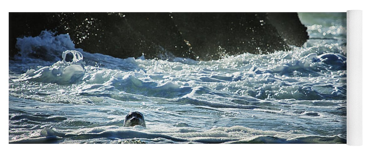 Seal Yoga Mat featuring the photograph I Spy a Seal by Belinda Greb