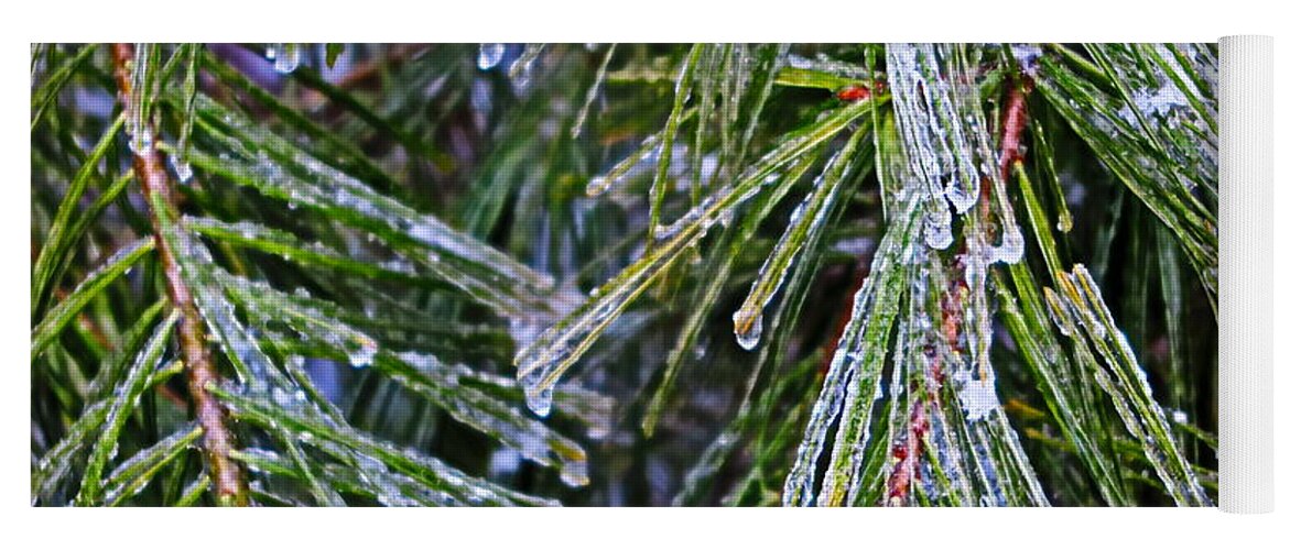 Ice Yoga Mat featuring the photograph Ice On Pine Needles by Daniel Reed
