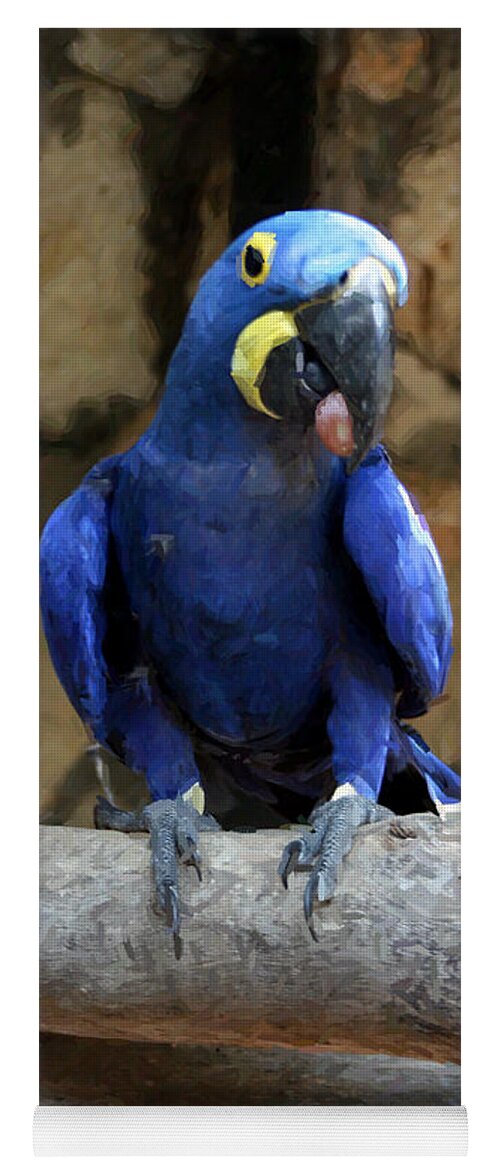 Birds Yoga Mat featuring the photograph Blue Macaw by Doc Braham