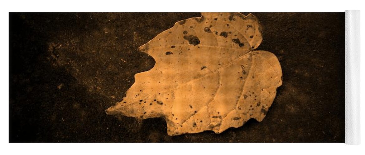 Leaf Yoga Mat featuring the photograph Impressions by Chris Berry