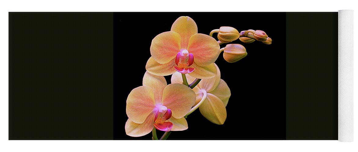 Orchid Yoga Mat featuring the photograph In Bloom by Rona Black