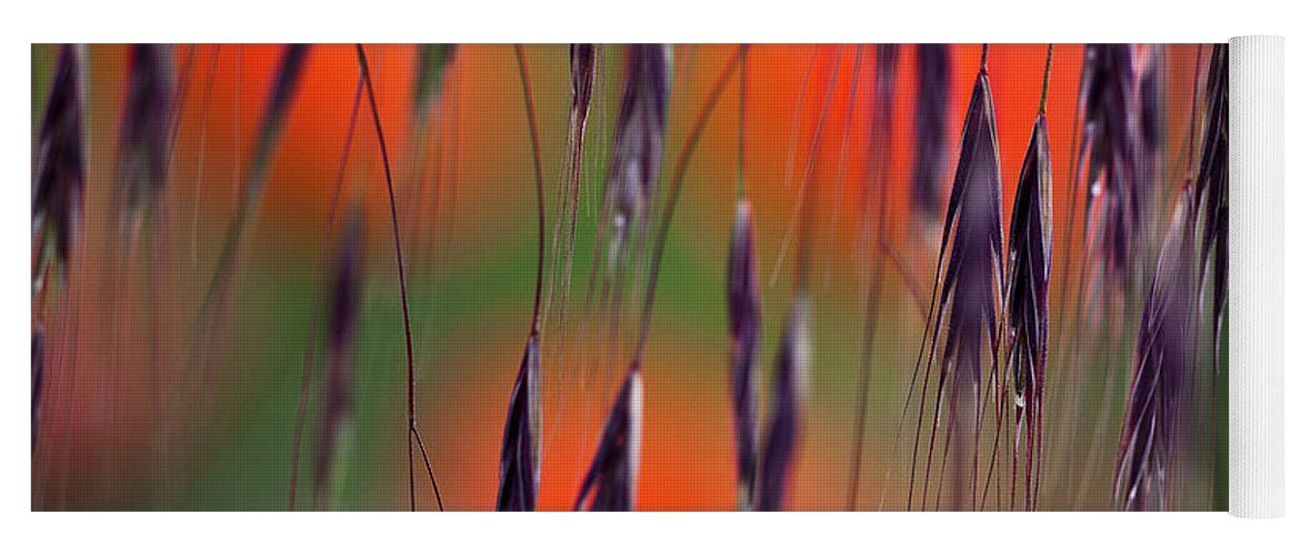Abstract Yoga Mat featuring the photograph In the Meadow by Heiko Koehrer-Wagner