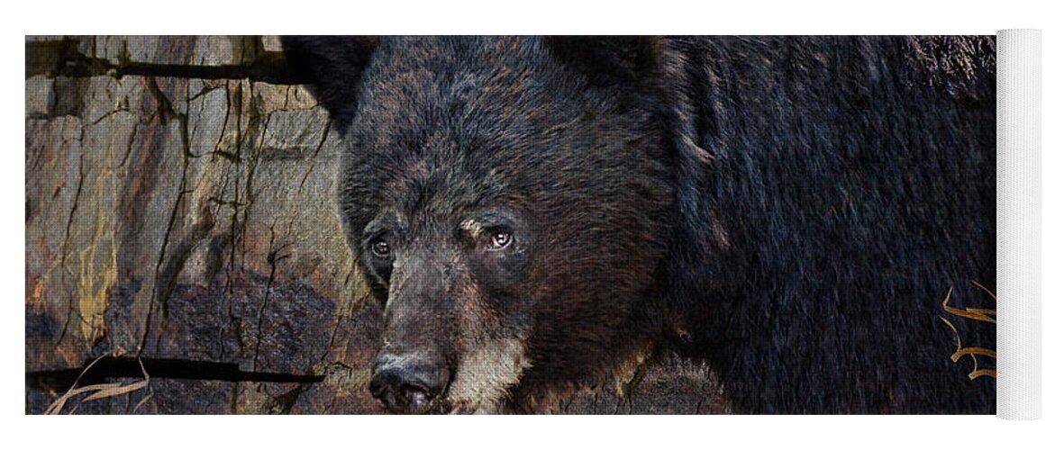 Black Bear Yoga Mat featuring the photograph Inconspicuous Bear by Ed Hall