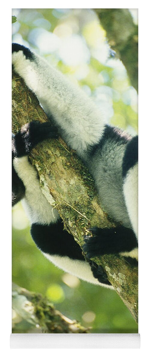 Animal Yoga Mat featuring the photograph Indri by Art Wolfe