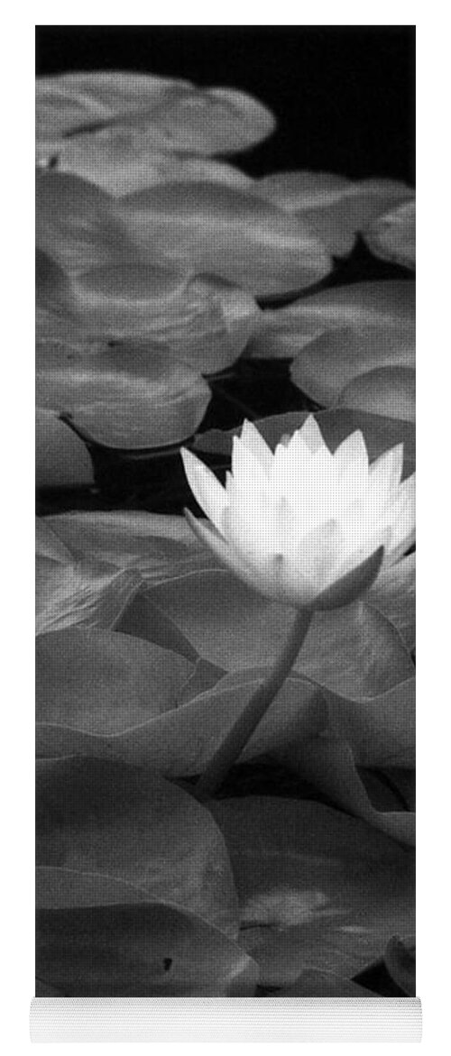 Water Lily Yoga Mat featuring the photograph Infrared - Water Lily 04 by Pamela Critchlow