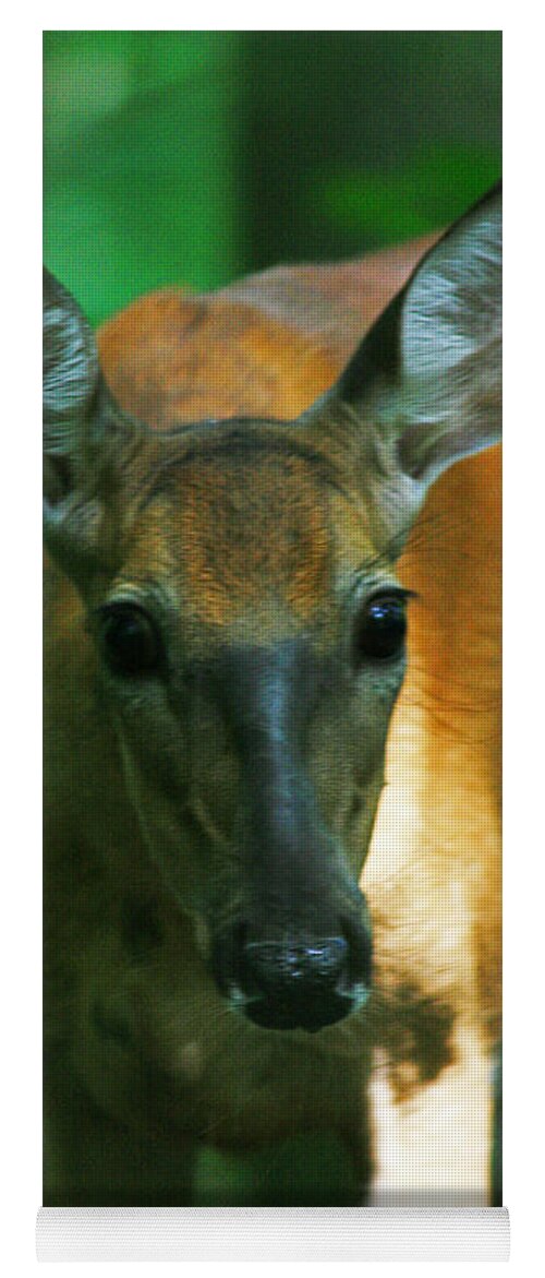Deer Yoga Mat featuring the photograph Inquisitive Doe by Miss Crystal D