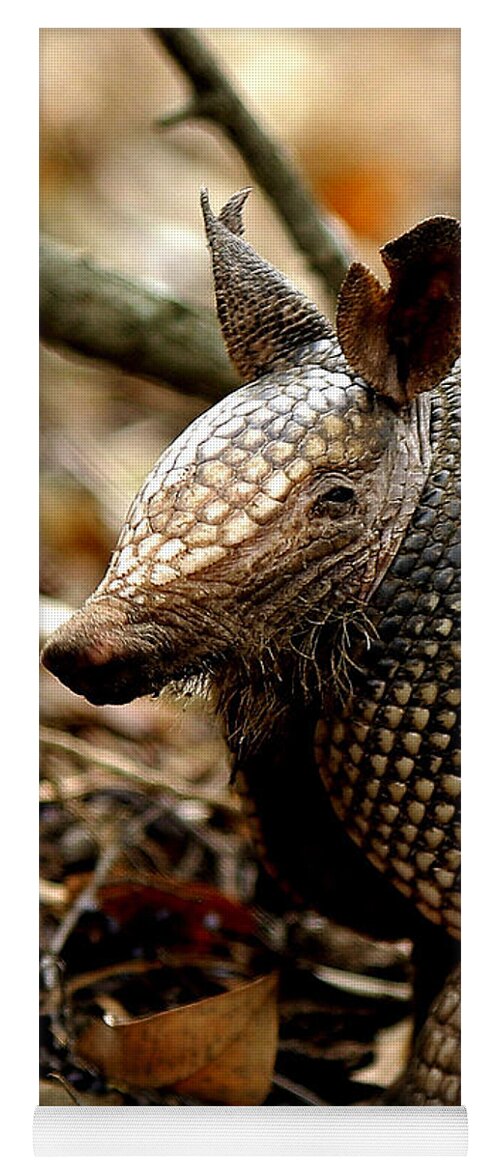 Iphone Yoga Mat featuring the photograph Nine Banded Armadillo by Robert Frederick
