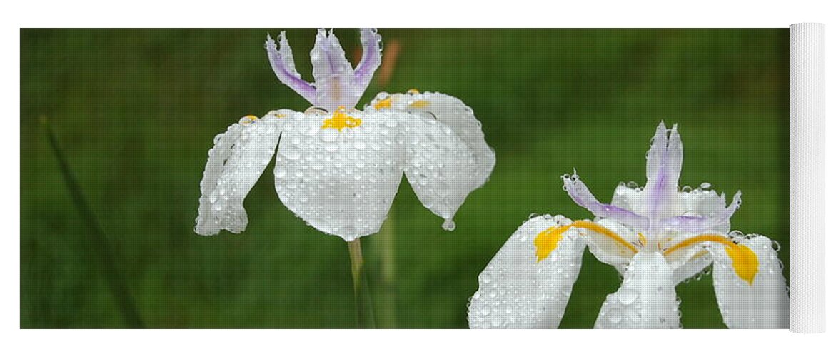 Linda Brody Yoga Mat featuring the photograph Irises In the Rain by Linda Brody