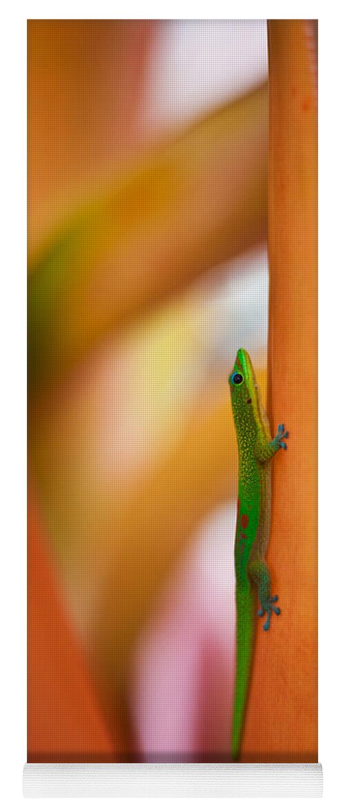 Gecko Yoga Mat featuring the photograph Island Friend by Mike Reid