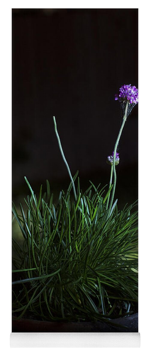 Flowers Yoga Mat featuring the photograph It Comes Alive at Night by Greg Kopriva