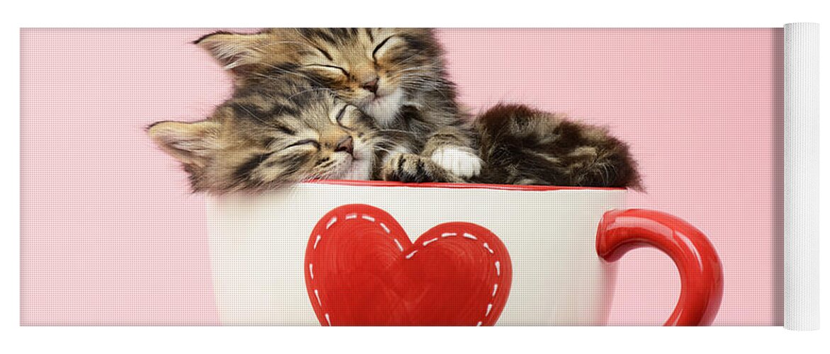Tabby Yoga Mat featuring the photograph It Must Be Love by MGL Meiklejohn Graphics Licensing