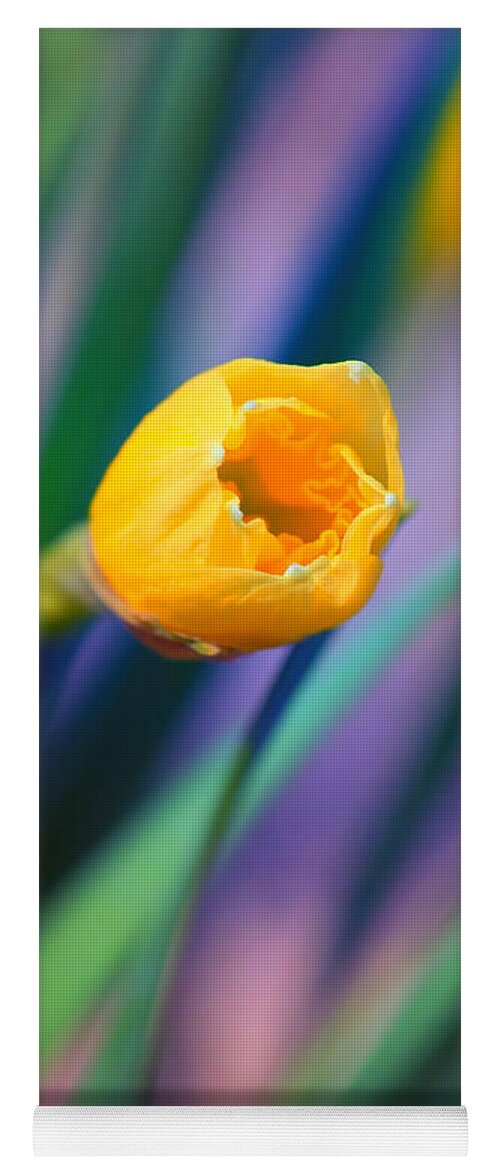 Narcissus Yoga Mat featuring the photograph Itsy Bitsy Daffodil Bloom by Bill and Linda Tiepelman