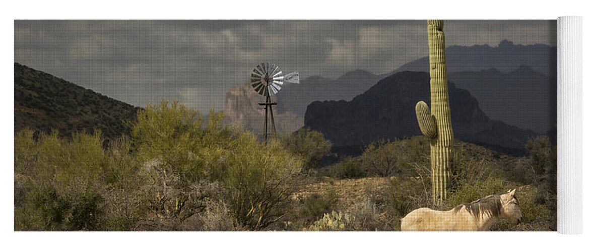 Arizona Yoga Mat featuring the photograph I've been through the desert on a horse with no name by Saija Lehtonen