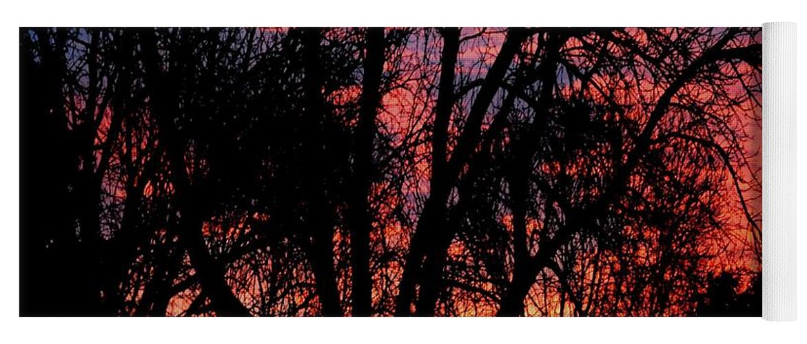 Dawn Yoga Mat featuring the photograph January Dawn by Luther Fine Art