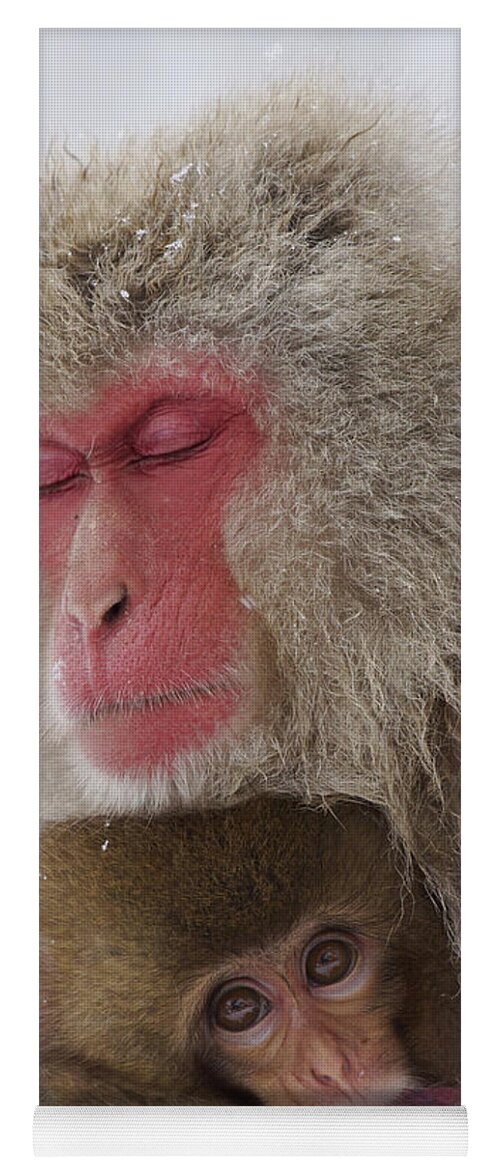 Feb0514 Yoga Mat featuring the photograph Japanese Macaque Mother And Baby by Hiroya Minakuchi