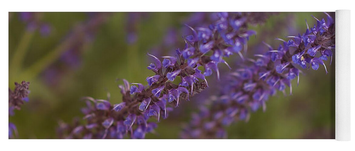 Garden Yoga Mat featuring the photograph Jardin de Rue by Miguel Winterpacht