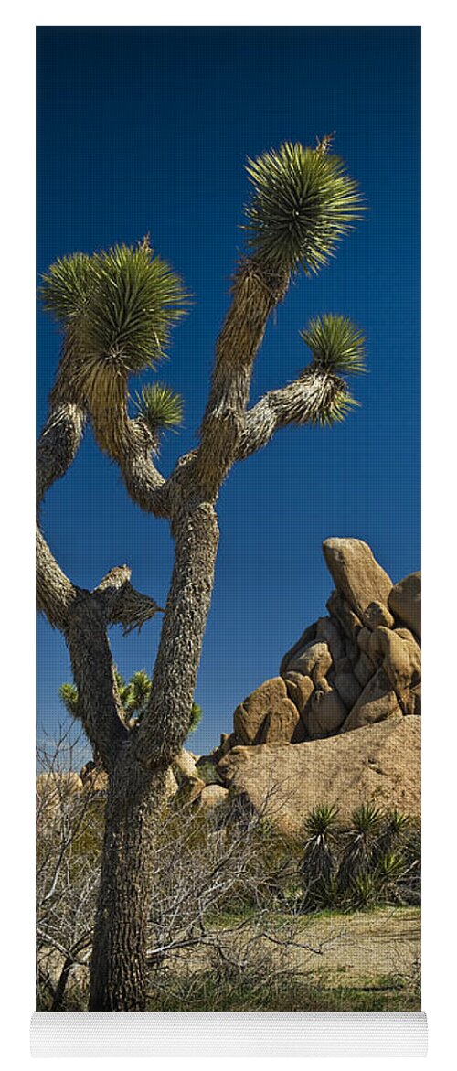 California Yoga Mat featuring the photograph California Joshua Trees in Joshua Tree National Park by the Mojave Desert by Randall Nyhof