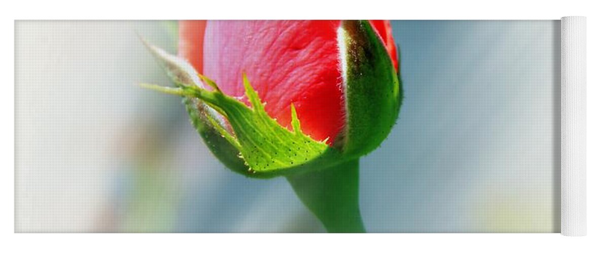 Rose Yoga Mat featuring the photograph Just A Bud by Judy Palkimas
