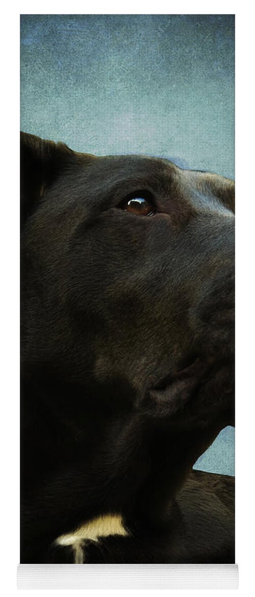 Labrador Yoga Mat featuring the photograph Kettles the Majestic by Shawna Rowe
