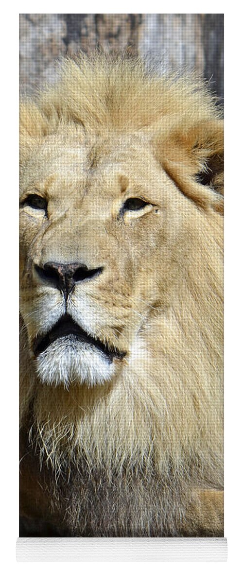Lion Yoga Mat featuring the photograph King Of Beasts by Shanna Hyatt