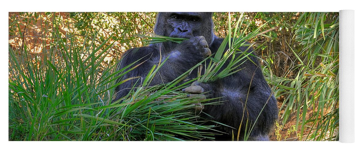Gorilla Yoga Mat featuring the photograph King Of The Mountain by Kathy Baccari