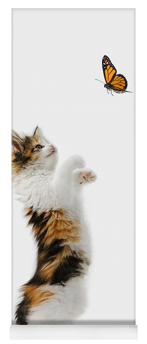 Active Yoga Mat featuring the photograph Kitten and Monarch Butterfly by Wave Royalty Free