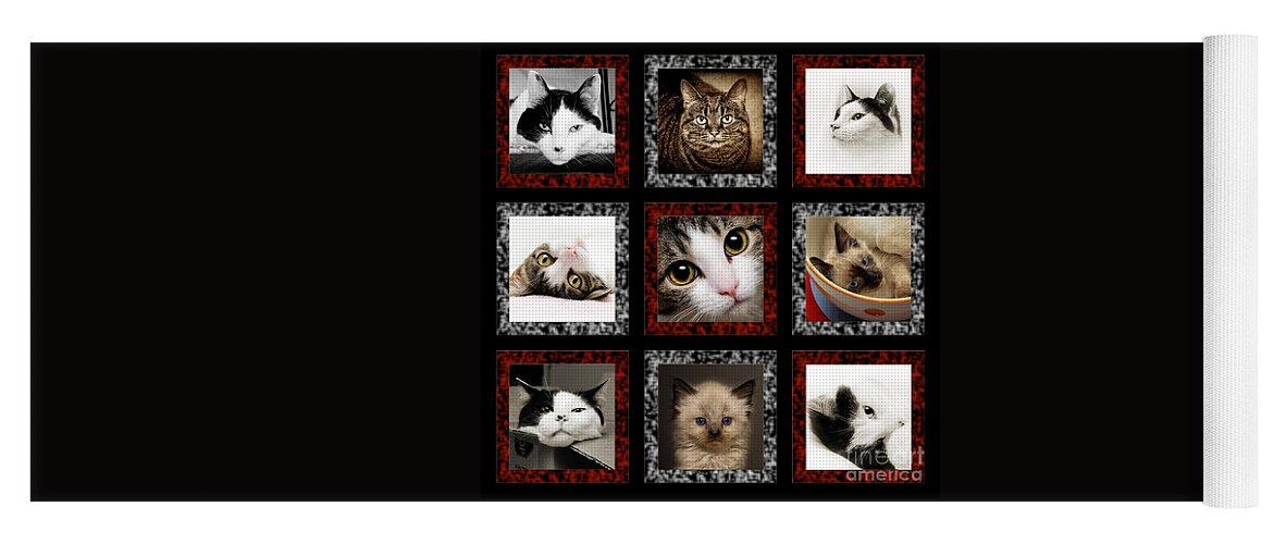 Cat Yoga Mat featuring the photograph Kitty Cat Tic Tac Toe by Andee Design