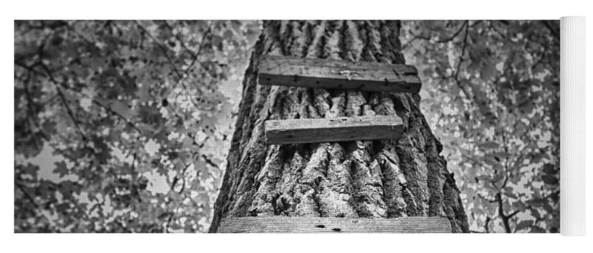 Tree Yoga Mat featuring the photograph Ladder to the Treehouse by Scott Norris