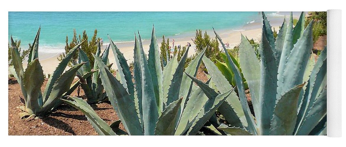 Coastline Yoga Mat featuring the photograph Laguna Coast with Cactus by Jane Girardot