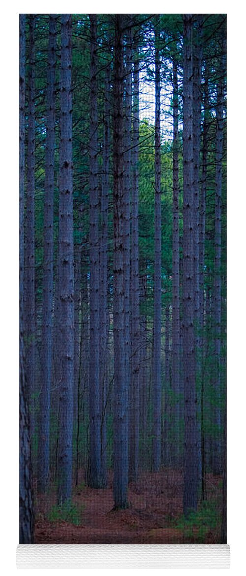 Larose Forest Yoga Mat featuring the photograph Larose Forest by Bianca Nadeau