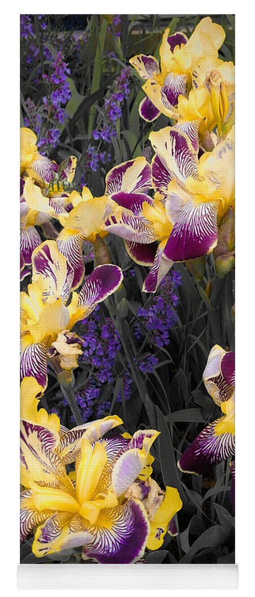 Garden Yoga Mat featuring the photograph Lavender and Irises by Jo-Anne Gazo-McKim