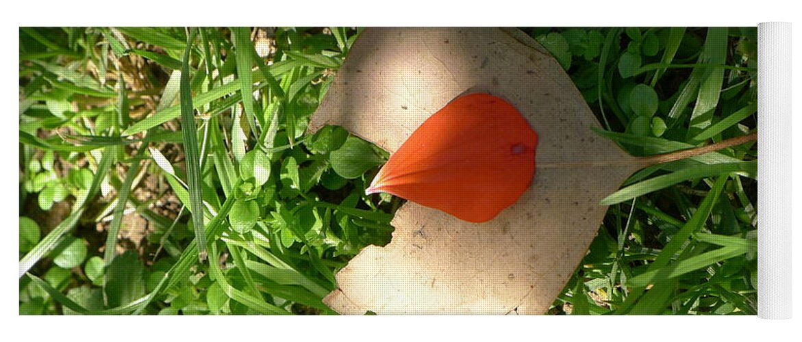  Yoga Mat featuring the photograph Leaf and flower petal by Nora Boghossian