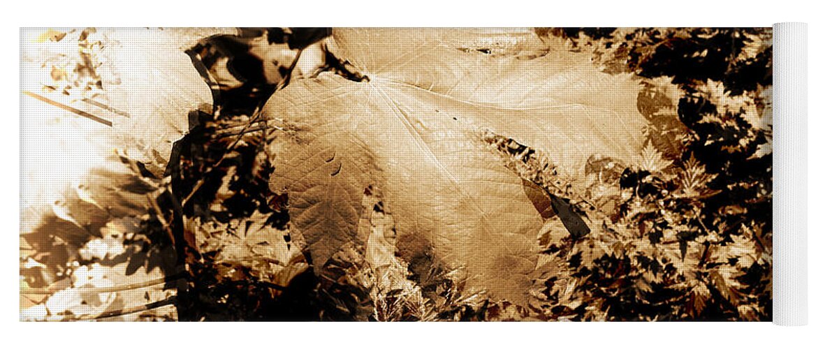 Leaves Yoga Mat featuring the photograph Leaves in Abstract monochrome by Cathy Anderson
