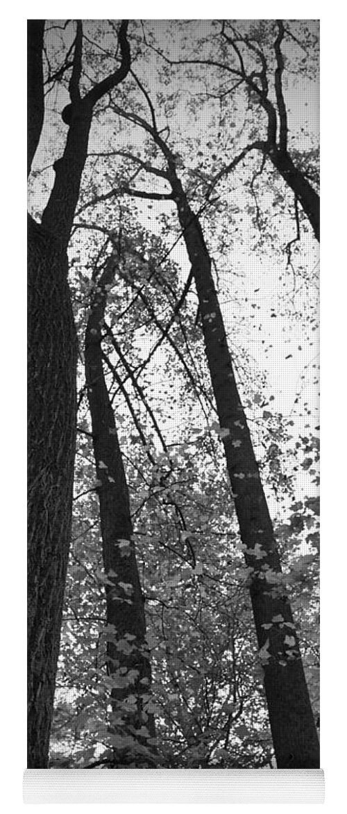 Fall Trees Yoga Mat featuring the photograph Leaves Lost BW by Photographic Arts And Design Studio