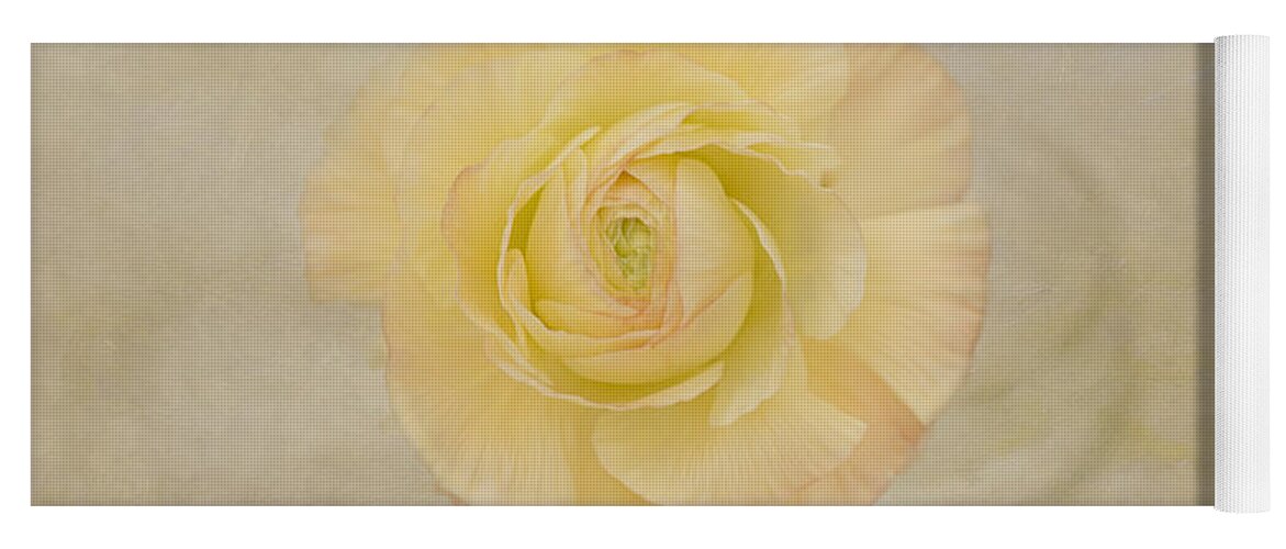 Yellow Flower Yoga Mat featuring the photograph Lemon Pastels by Kim Hojnacki