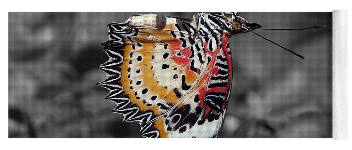 Scenic Yoga Mat featuring the photograph Leopard Lacewing Butterfly DTHU619BW by Gerry Gantt