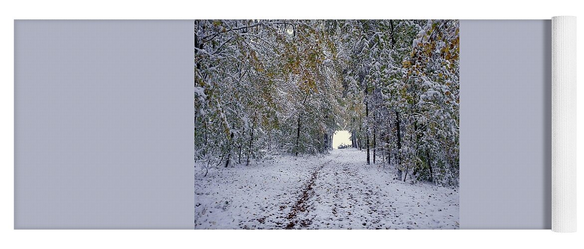 Lanscape - The First Snow Yoga Mat featuring the photograph Let it snow by Felicia Tica
