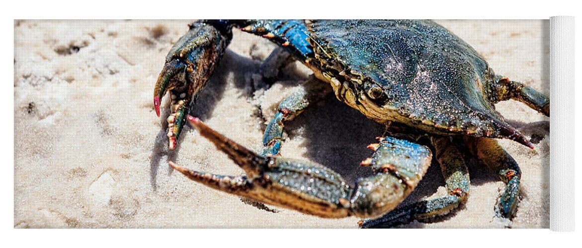 Blue Crabs Are 10 Inches (25cm) In Length Yoga Mat featuring the photograph Let's Dance by Sennie Pierson