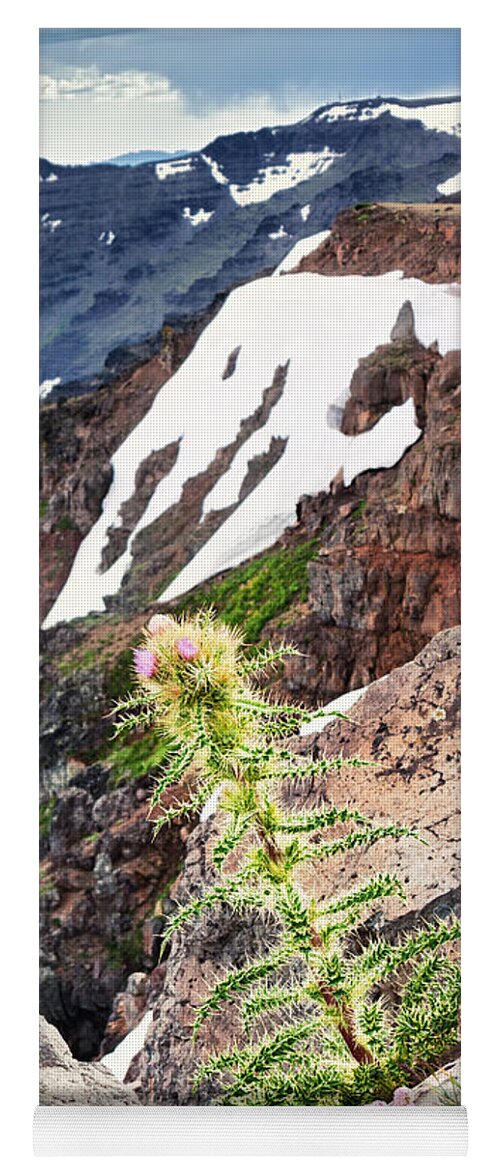 Cirsium Peckii Yoga Mat featuring the photograph Life on the Edge by Kathleen Bishop