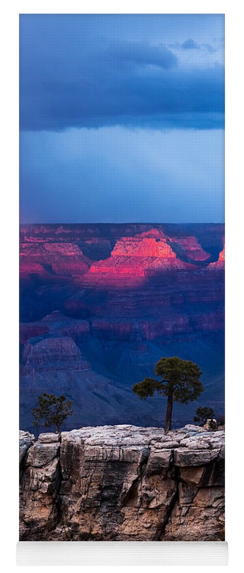 Arizona Yoga Mat featuring the photograph Life on the Rim by Ed Gleichman