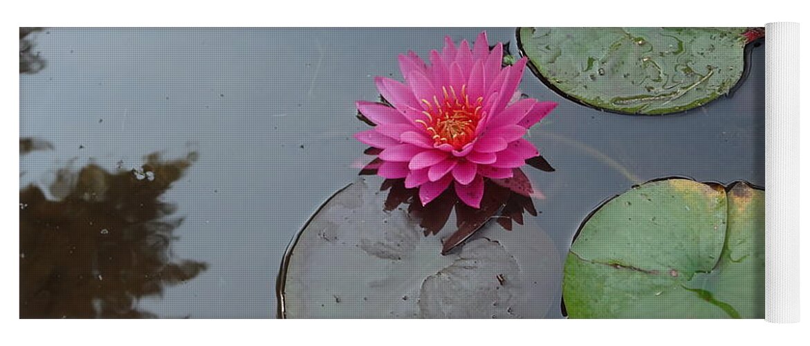 Lily Pad Yoga Mat featuring the photograph Lily Flower by Michael Porchik