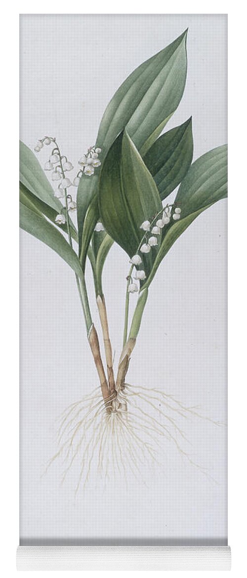 Floral Yoga Mat featuring the painting Lily of the Valley by Pierre Joseph Redoute