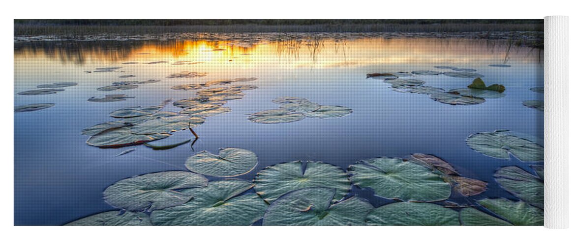 Art Yoga Mat featuring the photograph Lily Pads in the Glades by Debra and Dave Vanderlaan