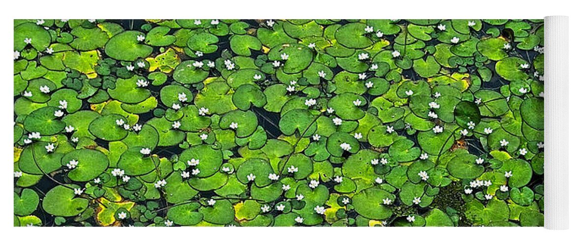 Water Yoga Mat featuring the photograph Lily pond by Jocelyn Kahawai