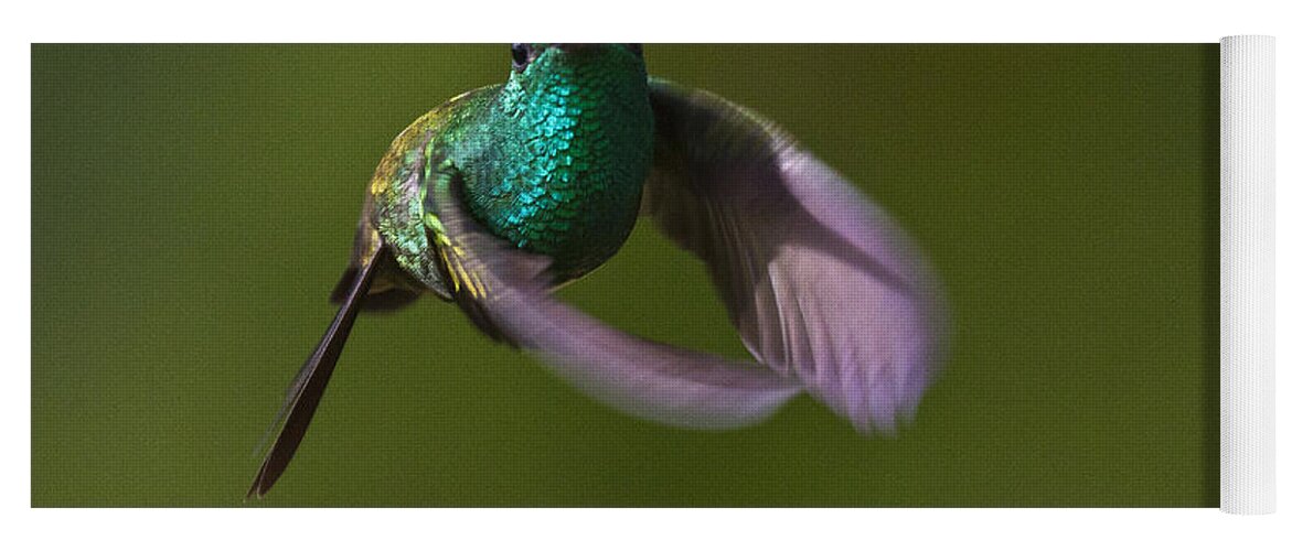 Bird Yoga Mat featuring the photograph Little Hedgehopper by Heiko Koehrer-Wagner