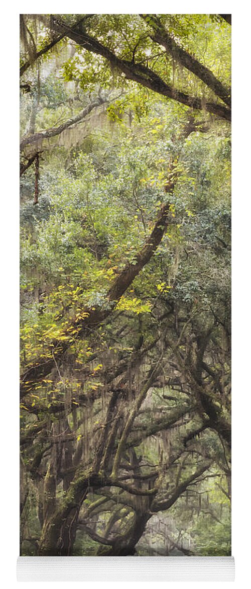 Green Yoga Mat featuring the photograph Live Oak Archway Verticle 1 by Jo Ann Tomaselli