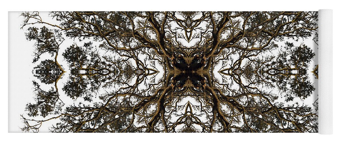 Sepia Yoga Mat featuring the photograph Live Oak Lace by Debra and Dave Vanderlaan