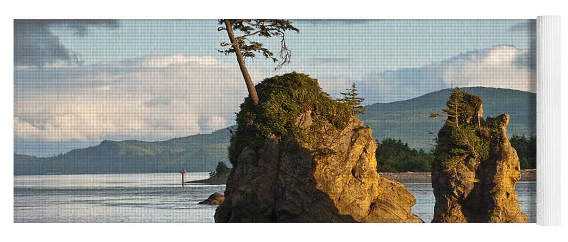 Bay Yoga Mat featuring the photograph Lone Tree on a Rock at Sunset by Jeff Goulden