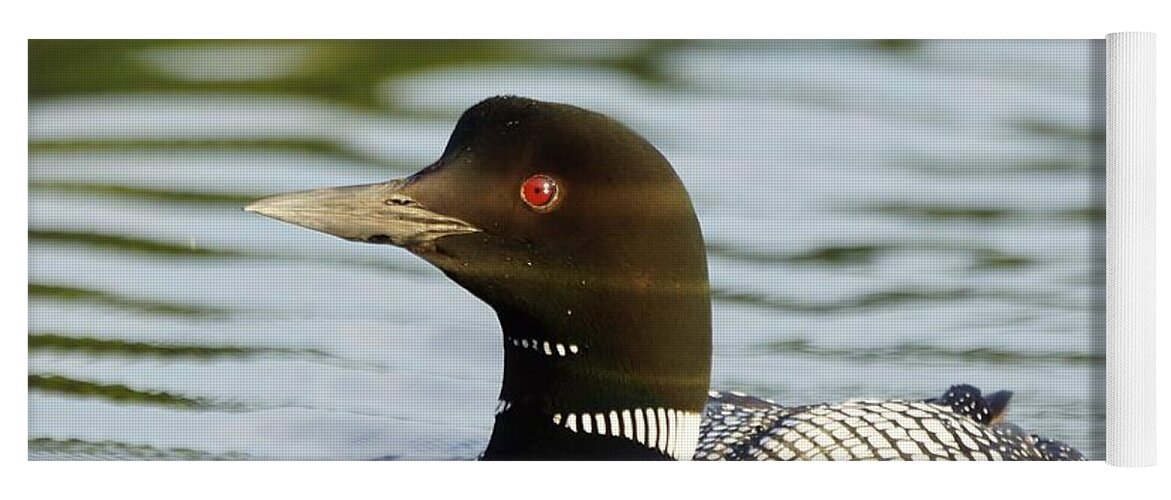 Loon Yoga Mat featuring the photograph Lonely Loon by Steven Clipperton