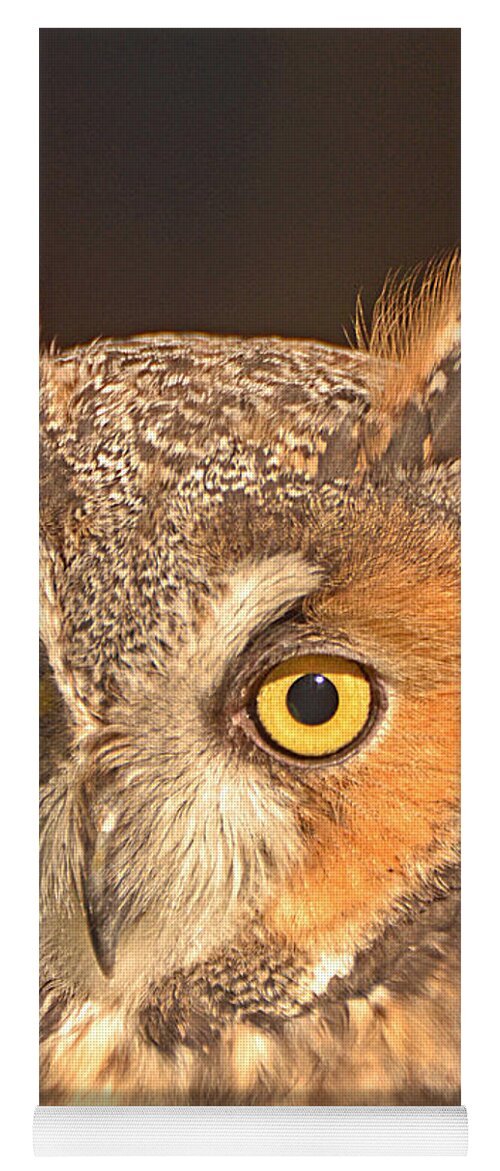 Long-eared Owl Yoga Mat featuring the photograph Long-eared Owl by Nancy Landry